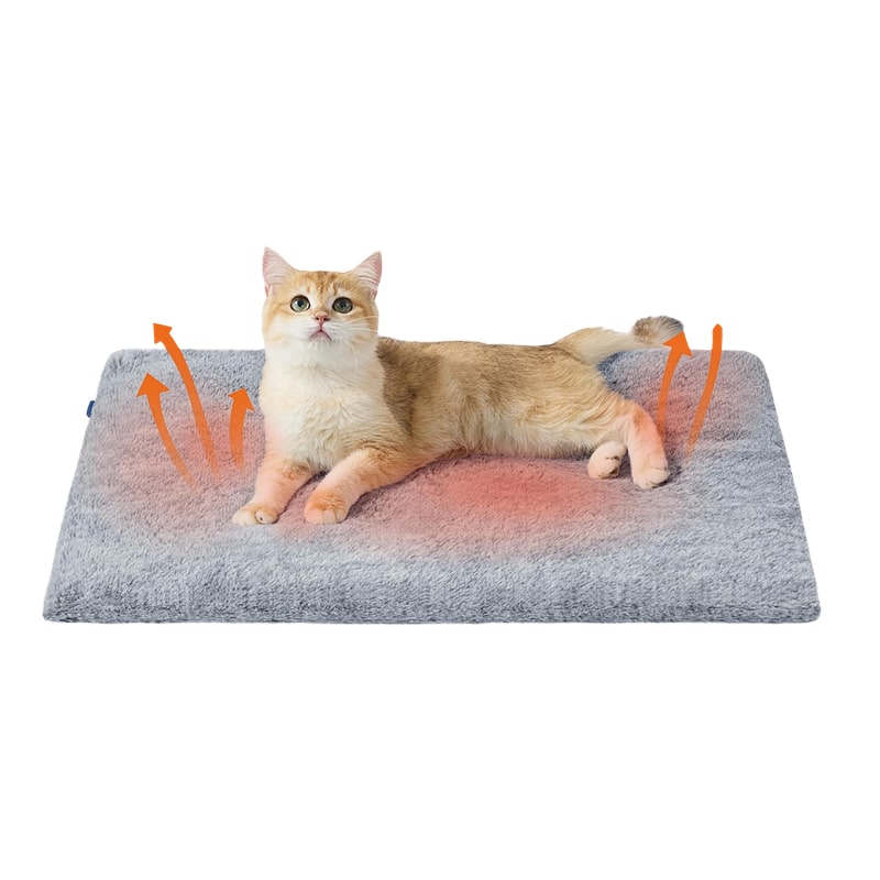 A closer look at Jumbu Heated Cat Bed With Massage Function